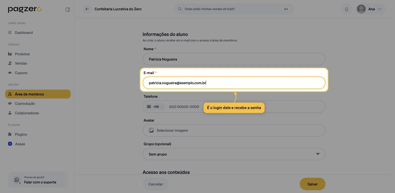 Campo E-mail destacado, preenchido com um endereço de exemplo