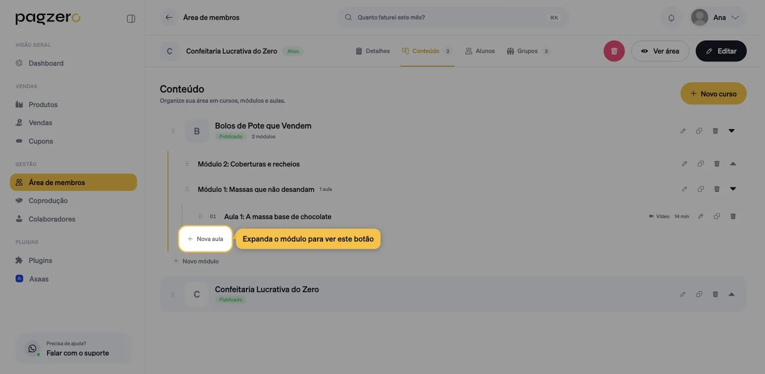 Aba Conteúdo com curso e módulo expandidos, e o botão mais Nova aula destacado dentro do módulo