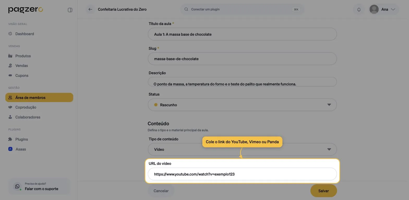Campo URL do vídeo destacado, preenchido com um link do YouTube
