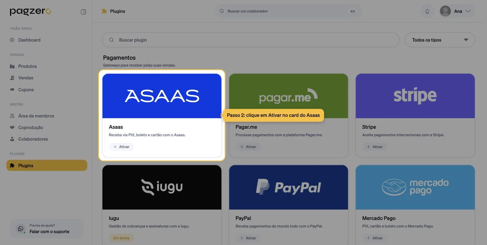 Seção Pagamentos da tela de plugins, com um card de gateway destacado e o botão Ativar visível dentro dele