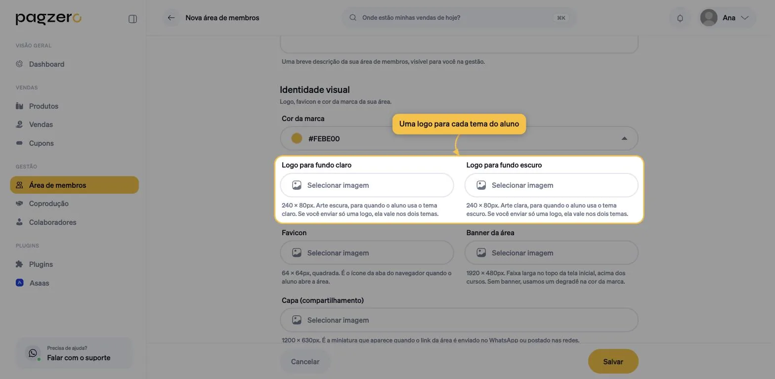Seção Identidade visual com os campos Logo para fundo claro e Logo para fundo escuro, com as dimensões indicadas