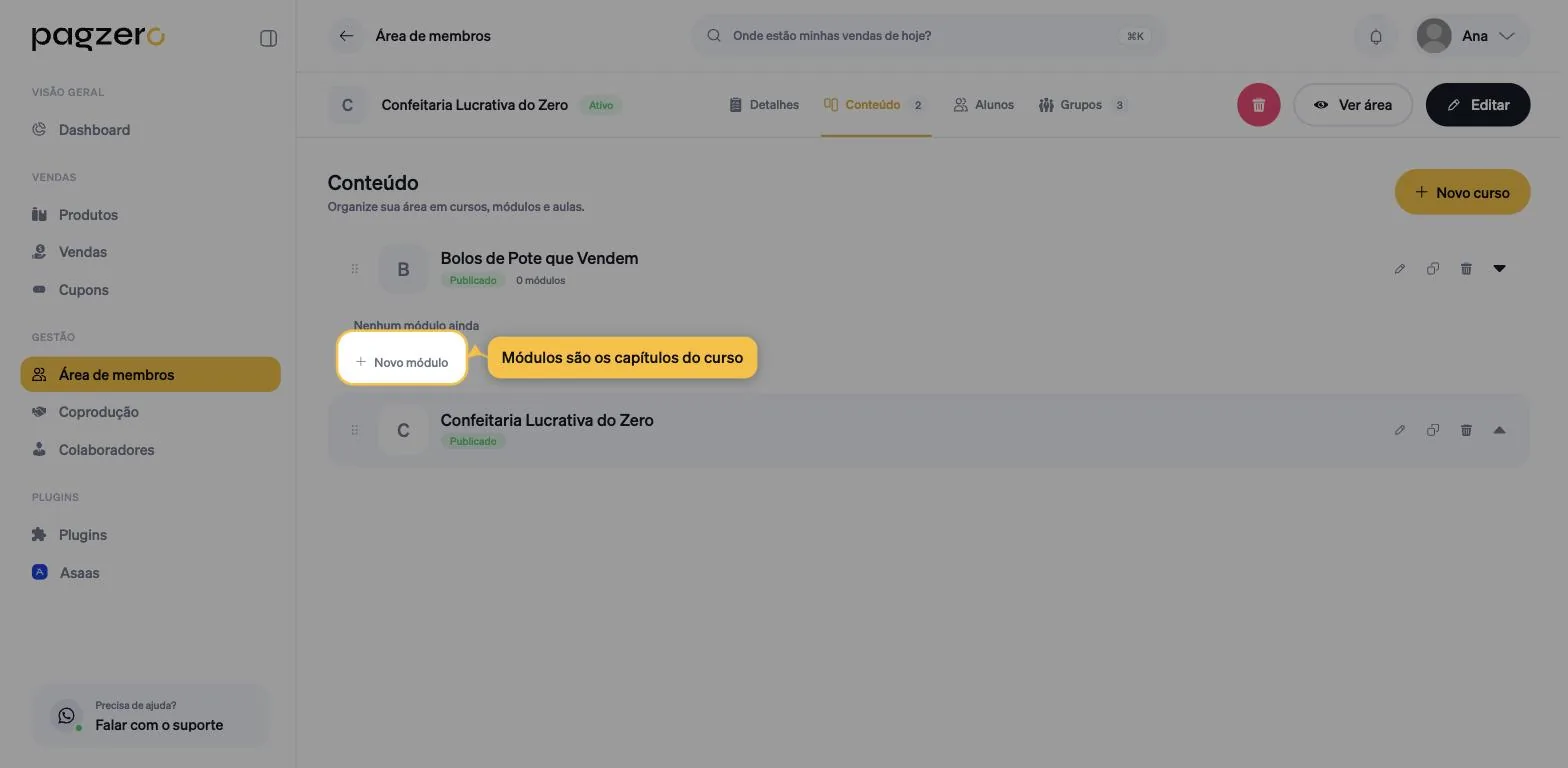 Curso expandido na aba Conteúdo, com o botão mais Novo módulo destacado abaixo dele