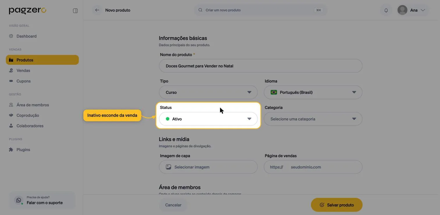 Campo Status destacado, com a opção Ativo selecionada e marcador verde