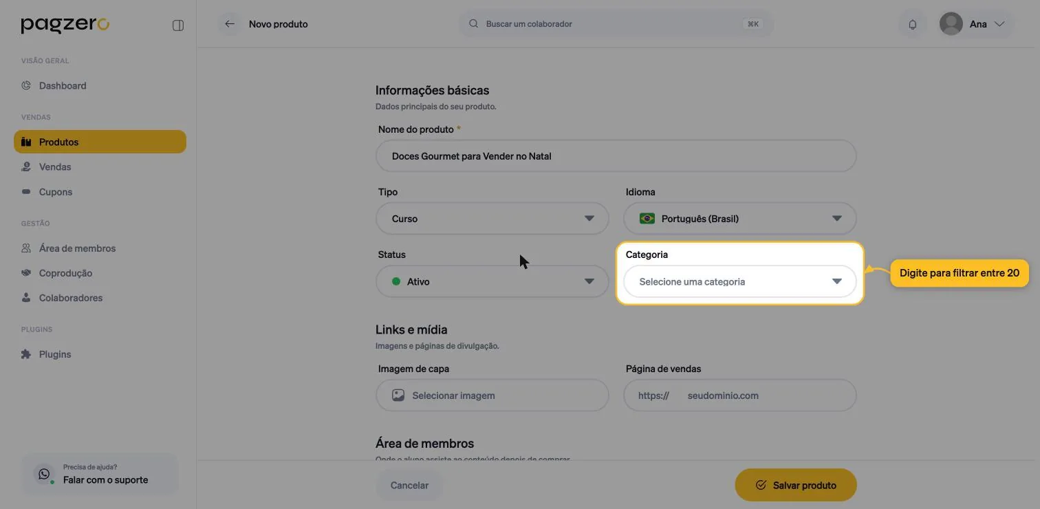 Campo Categoria destacado, exibindo o texto Selecione uma categoria