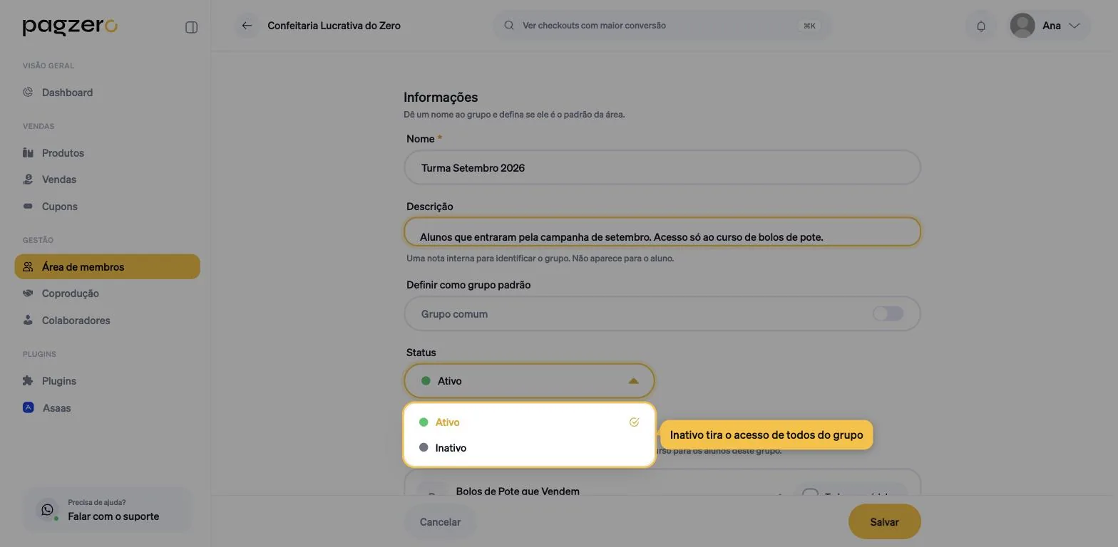 Campo Status com a lista aberta mostrando apenas Ativo e Inativo