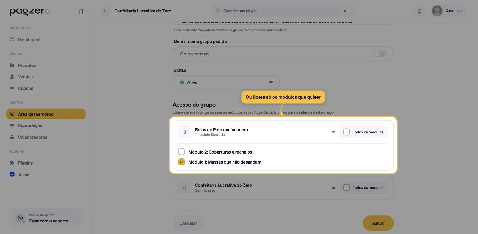 Curso expandido com os módulos listados, apenas o Módulo 1 marcado, e o resumo indicando 1 módulo liberado