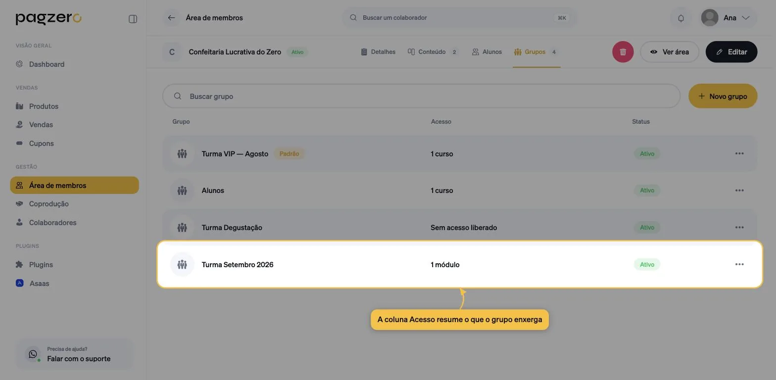 Tabela com quatro grupos, mostrando os resumos 1 curso, Sem acesso liberado e 1 módulo, e a etiqueta Padrão no primeiro